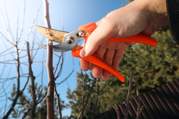Gardener pruning trees with pruning shears on nature background.