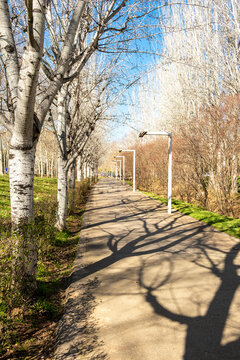 Shaded pedestrian path through a natural park in Sant Cugat, Barcelona, on a sunny day.