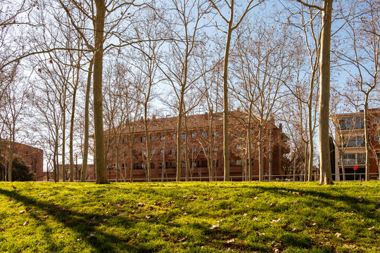 Early spring scenery in an urban park with trees, grass, and soft sunlight in Sant Cugat.