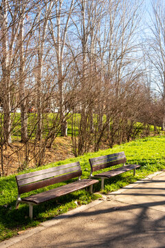 Wooden benches in a quiet green park surrounded by bare trees in Sant Cugat, Barcelona.
