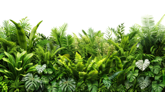 Tropical plants and foliage creating a lush green border on transparent background