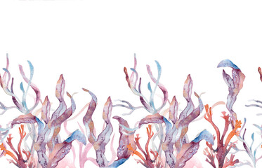 Tropical underwater landscape with coral reefs, seaweed, and sea plants in dusty pink tones watercolor on white. Seamless border painted for beach themed designs, summer textile, and marine prints. © Ekaterina Lanbina