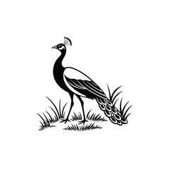 Royal Crested Bird Silhouette Standing on Grass – Vector Art