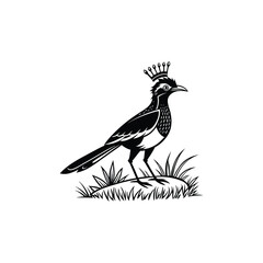 Fototapeta premium Royal Crested Bird Silhouette Standing on Grass – Vector Art
