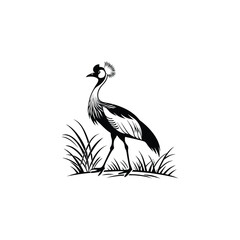 Royal Crested Bird Silhouette Standing on Grass – Vector Art