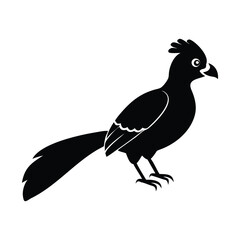 Black Silhouette of Crested Bird – Exotic Songbird Vector Illustration