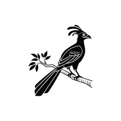 Royal Crested Bird Silhouette Standing on Grass – Vector Art