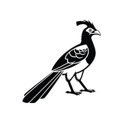 Royal Crested Bird Silhouette Standing on Grass – Vector Art