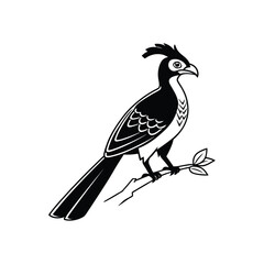 Royal Crested Bird Silhouette Standing on Grass – Vector Art