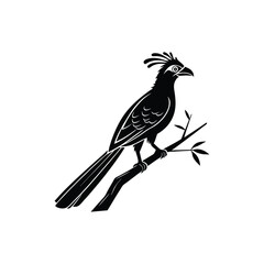 Royal Crested Bird Silhouette Standing on Grass – Vector Art