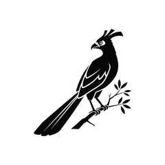 Royal Crested Bird Silhouette Standing on Grass – Vector Art