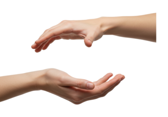 Isolated Two Human Hand Posing as Holding