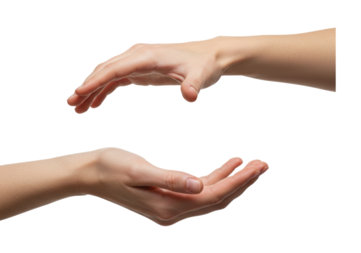 Isolated Two Human Hand Posing as Holding