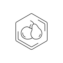 Pear and apple icon inside hexagonal frame on white background. Vector fruit black line pictogram. Tropical themes, fruits, pollen, field honey in a minimalistic style.