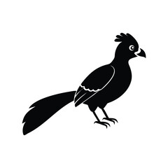 Black Silhouette of Crested Bird – Exotic Songbird Vector Illustration