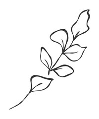 tiny wild flowers and plants line art botanical illustrations. Trendy greenery hand draw lines black ink sketches. vector illustration