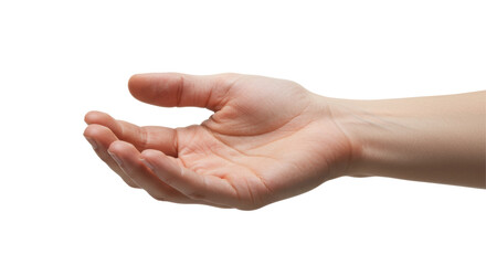 Isolated Human Hand Ready to Accept or Offer