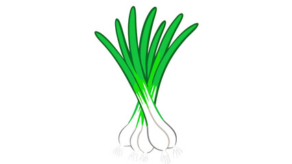 Fototapeta premium a fresh bunch of green onions, showing their vibrant green tops and white roots