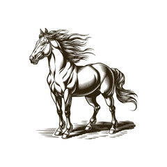 Vintage engraving woodcut horse vector illustration art design