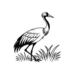 Black and White Heron Bird Silhouette with Grass – Vector Illustration