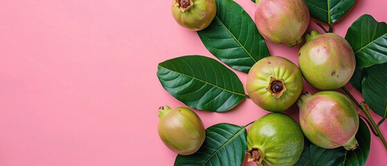Green guava and fresh leaves arranged on colorful background. Top down aerial view of fruit with peel and pink flesh. Flat lay composition with copy space for tropical fruit and food design. AIG55.