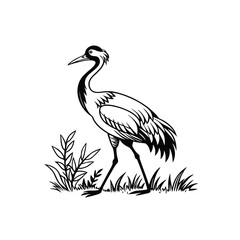 Black and White Heron Bird Silhouette with Grass – Vector Illustration
