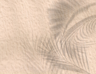 Sand on beach. Blurred shadow soft of palm or coconut leaves left.
