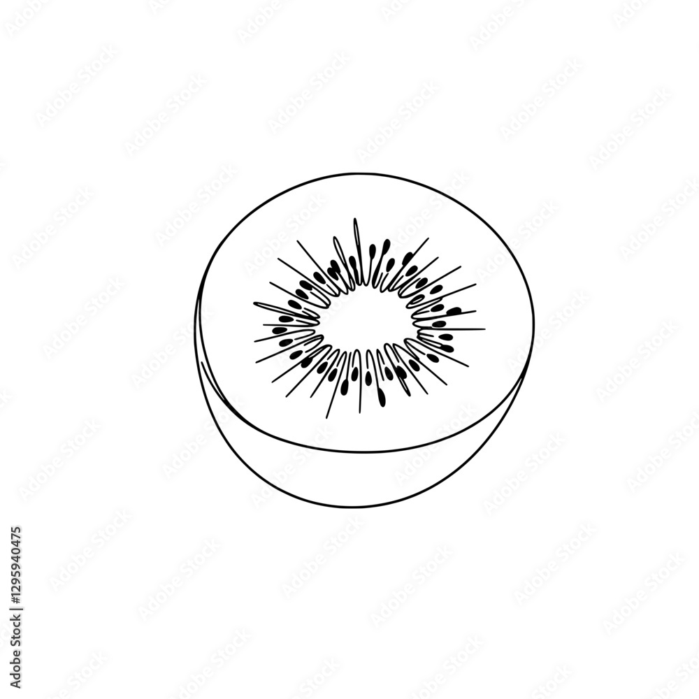 Poster kiwi slice: a detailed line drawing captures a close-up view of a fresh kiwi slice, revealing its un