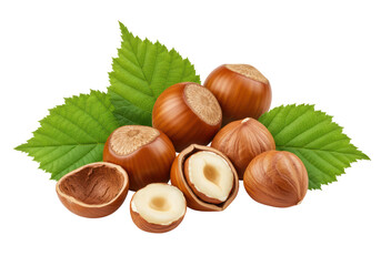 Isolated Nut Variety - Close-up Hazelnut Collection