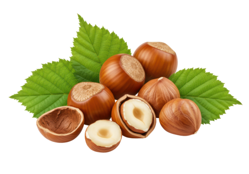 Isolated Nut Variety - Close-up Hazelnut Collection