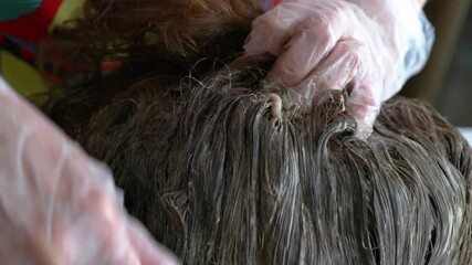 The comprehensive Hair Treatment Process that employs a unique Green Brush for optimal results