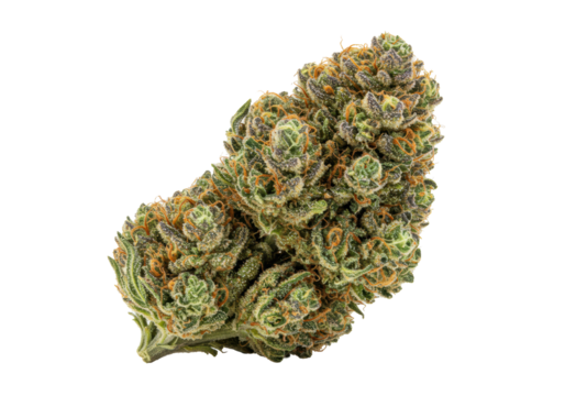 Isolated Close-up of a Dense Marijuana Bud with Orange Hairs and Crystalline Trichomes