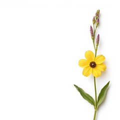 Fototapeta premium Seasonal Flower Bloom Photorealistic Illustration for Commercial Use with Copy Space