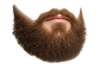 Isolated Detailed Brown Beard