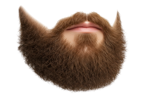 Isolated Detailed Brown Beard