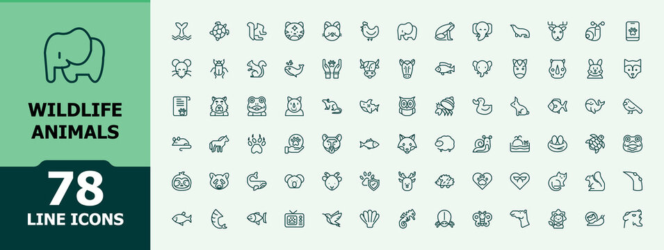 Wildlife Animals icon set. Containing bear, nature, flamingo, forest, giraffe and more. Line symbol. Minimalist editable vector stroke. UI icon set in a flat design.