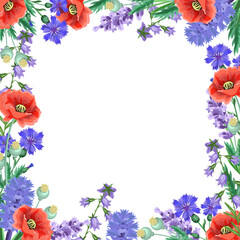 Postcard wildflowers in a poppies frame, bluebells, cornflowers on a white background.Vector frame for the design of postcards, invitations,banners.