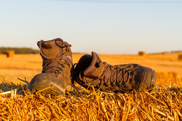 Wanderschuhe in der Abendsonne auf einen Feld
