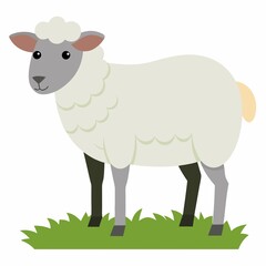 A sheep illustration on white background