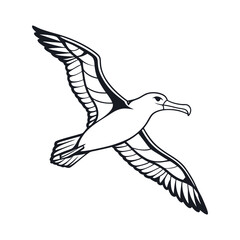 vector illustration of a Albatross