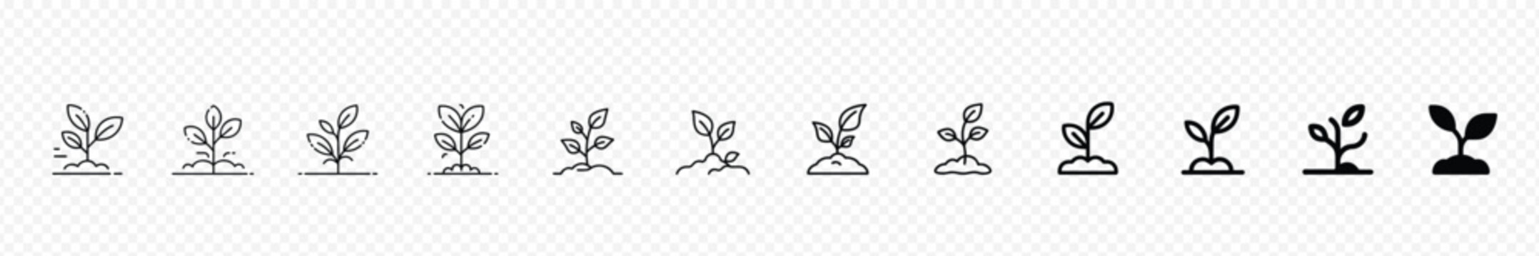 Plant Growth Stages Line Icons Set: Seedling to Mature Plant Progression, Seedling to grow up plant icon set