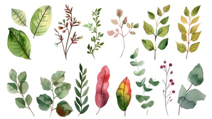 Watercolor botany picture of natural leaf and flora arranged as set. Group of vividness flower and herbal or tree leaves express beautiful element of nature perfect for study biology knowledge. AIG53.