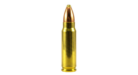 Isolated Close-up of Brass Rifle Bullet