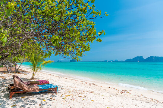 Beautiful white sand beach and seagrape tree with ocean background summer concept. Koh Kradan Island, Thailand. Summer outdoor nature holiday serenity concept. 