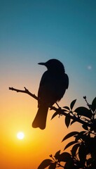 Silhouette of a bird perched on a branch against a clear blue sky at sunrise, forest, poultry, animals
