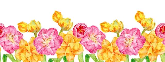 Spring seamless border, consists of pink and yellow tulips, open and buds. Hand painted with watercolors. For interior decoration, postcards or cosmetics, wallpaper, dishes