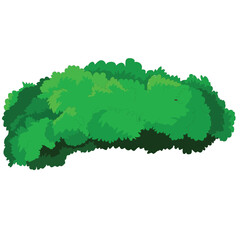 Set of grass bush isolated on white background. Green bush blossom. Green grass collection. Flat vector illustration.