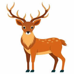 A deer illustration on white background