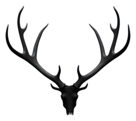 PNG  Deer antlers wildlife animal mammal.