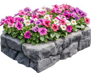 Vibrant flower bed with colorful pansies in stone planter, showcasing mix of pink, purple, and white blooms, perfect for enhancing outdoor spaces